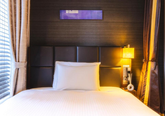 HOTEL GRACERY TAMACHI 10