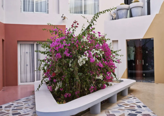 TURTLE'S INN EL GOUNA 9
