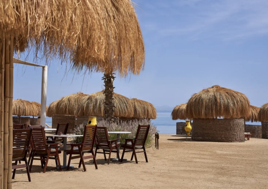 TURTLE'S INN EL GOUNA 12