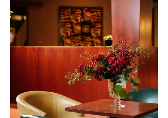 HOTEL BARCHETTA EXCELSIOR 12