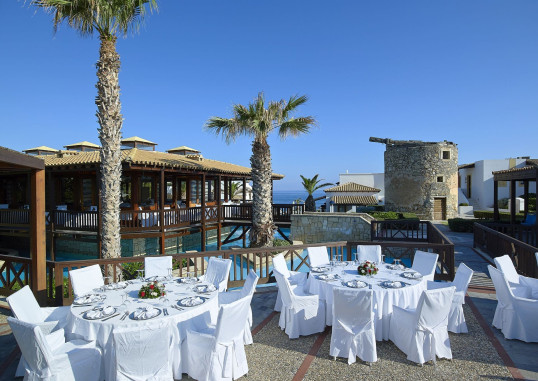 ALDEMAR KNOSSOS ROYAL 6