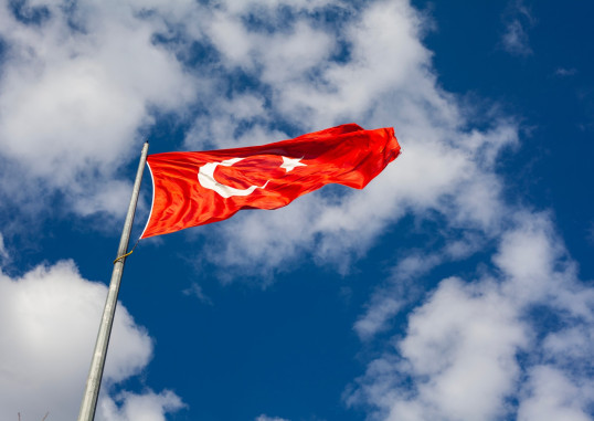 Didim Türgi 12
