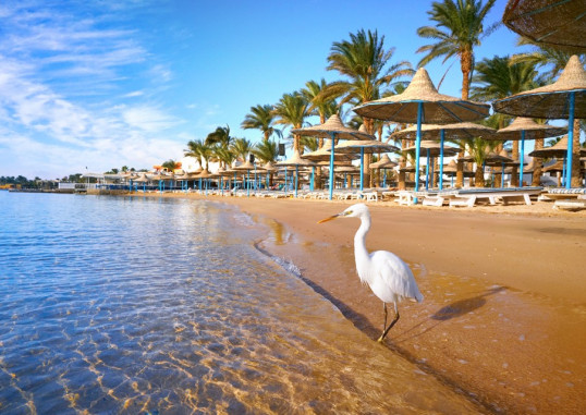 Hurghada Egiptus 7