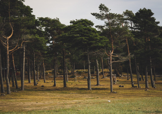 Stockholm Rootsi 5