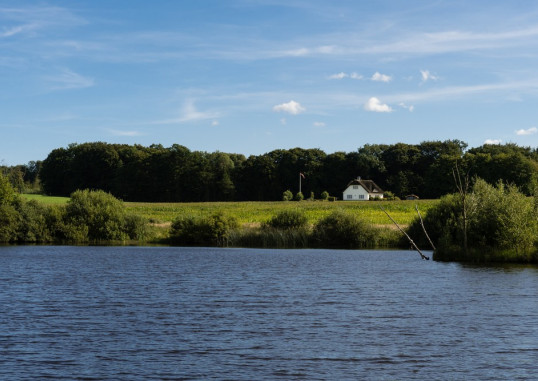 Billund Taani 10