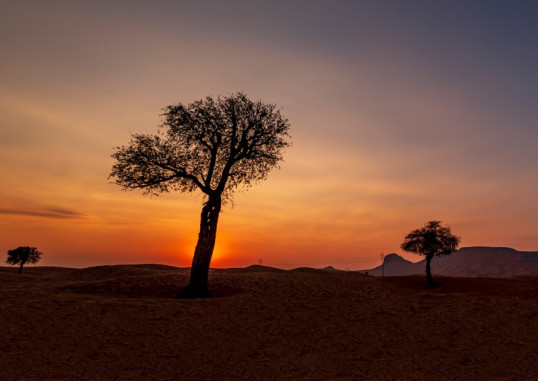 Sharjah Araabia Ühendemiraadid 1