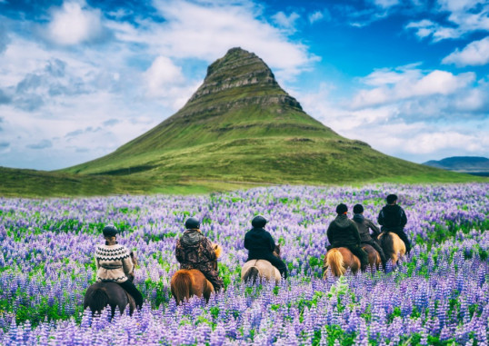 Reykjavik Island 2