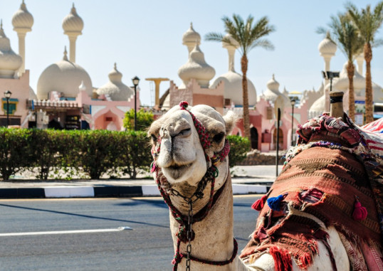 Sharm el Sheikh Egiptus 7