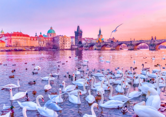 Praha Tšehhi 6