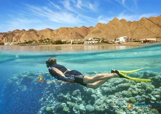 Marsa Alam Egiptus 12