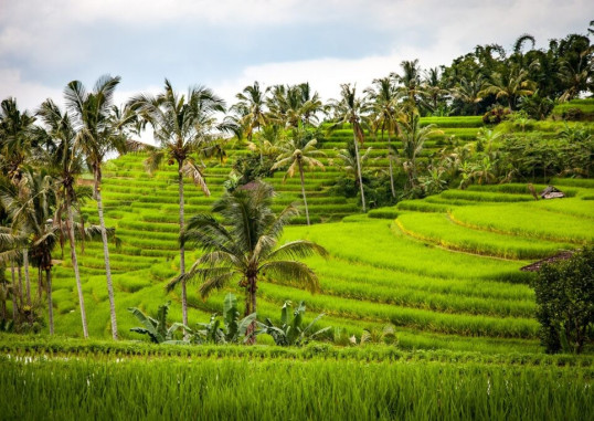 Bali Indoneesia 13