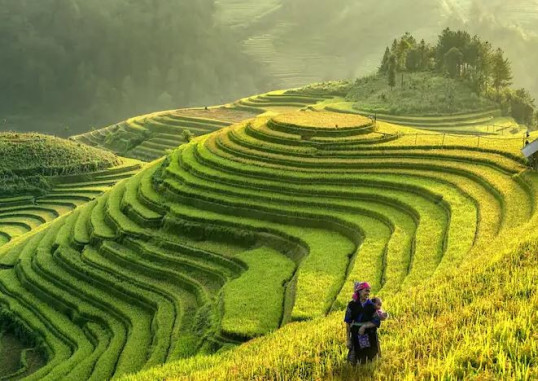 Põhja-Vietnam Vietnam 5