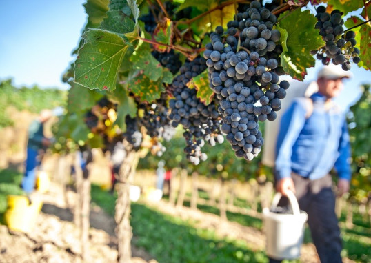 Catania Sitsiilia Itaalia 25