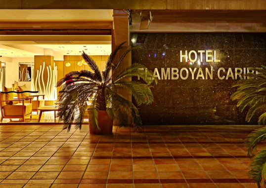 FLAMBOYAN CARIBE 2
