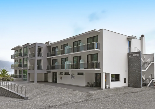 CALAMAR 11