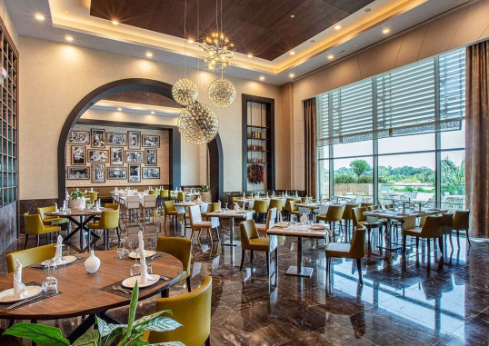 REGNUM CARYA 22