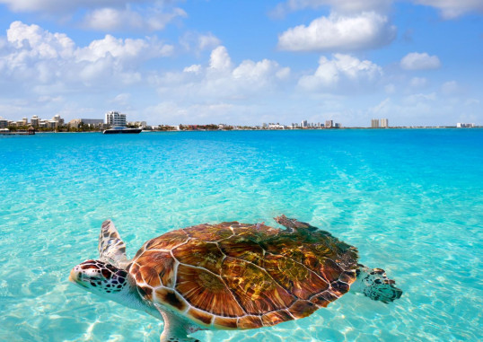 Cancun Mehhiko 8