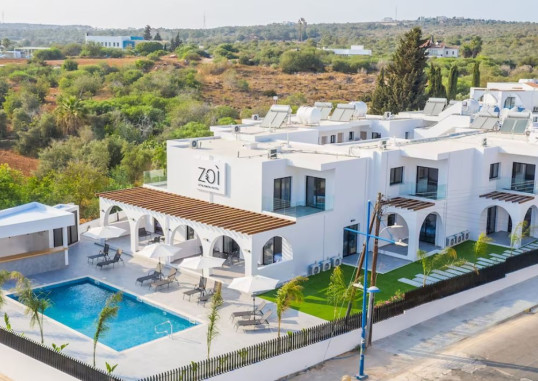 ZOI 1