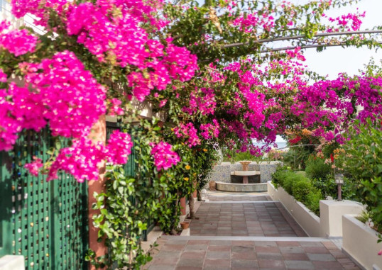 HYDRAMIS PALACE BEACH RESORT 18