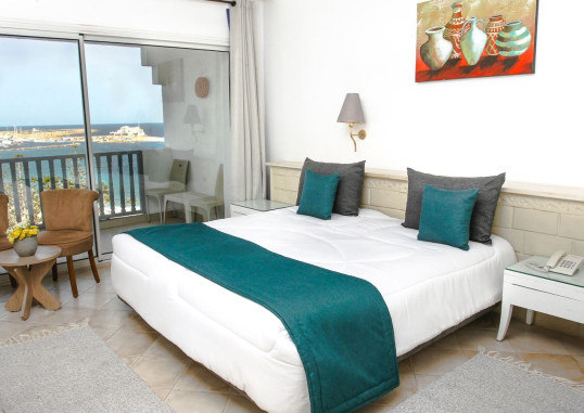 DELPHIN HABIB 9