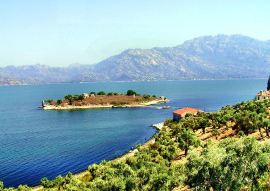 Didim Türgi 7