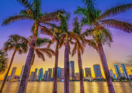 Miami Ameerika Ühendriigid 4