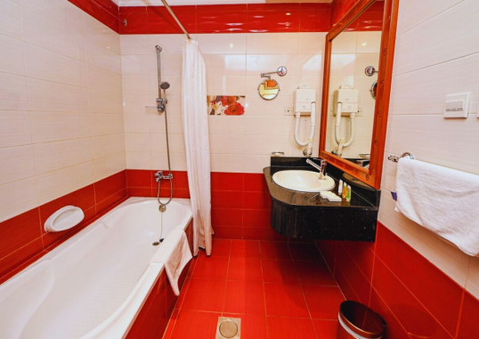 RED CASTLE HOTEL SHARJAH 20