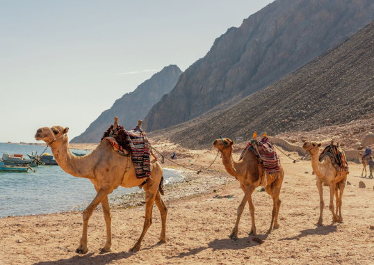 Dahab Egiptus 7