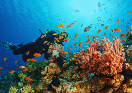 Dahab Egiptus 9