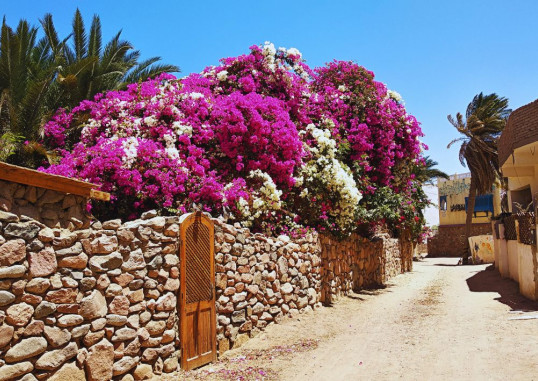 Dahab Egiptus 12
