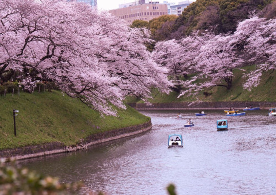 Tokyo Jaapan 9