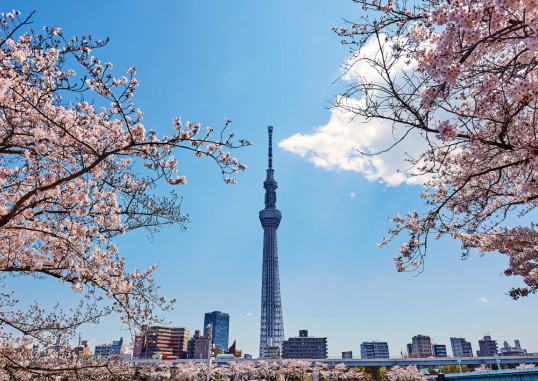 Tokyo Jaapan 10