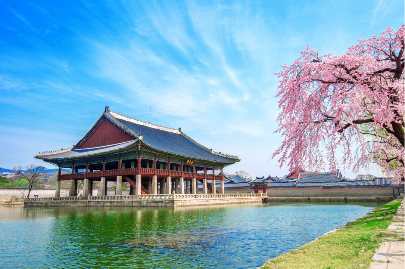 Eksootiline Lõuna-Korea ja 3* hotell DH RENAISSANCE!